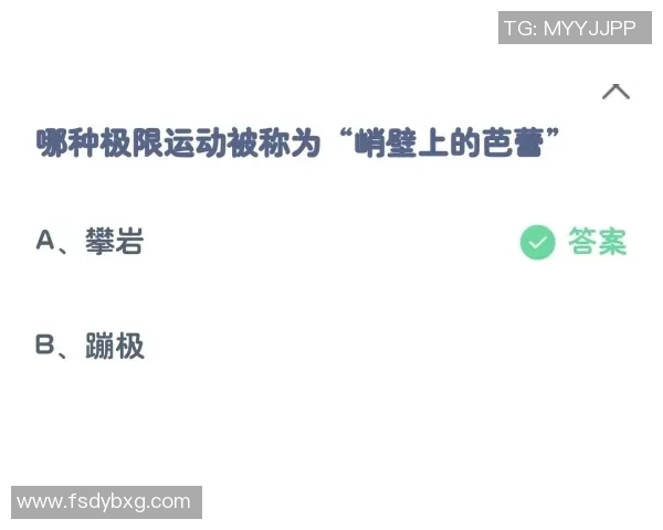 广州极限运动队的边路渗透策略与热点分析探讨