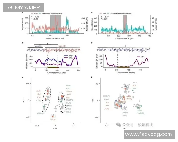 武汉攀岩队节奏表现数据分析揭示训练与比赛的潜在关联与提升策略