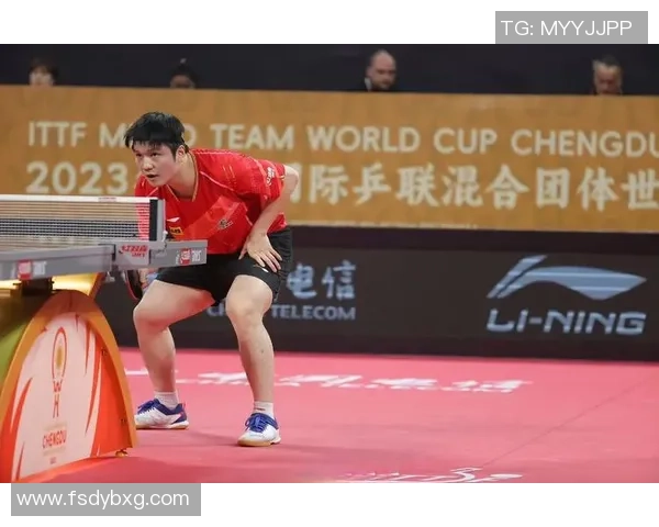 武汉乒乓球队实力深度对比分析及未来发展趋势探讨